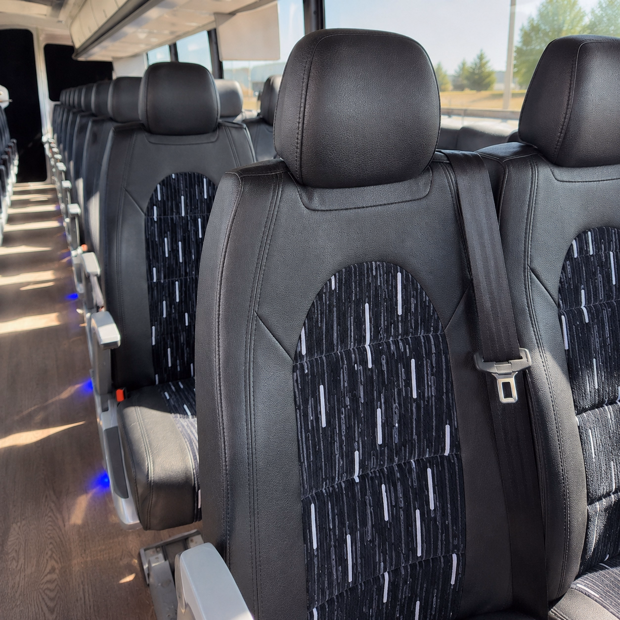san marcos concert transportation